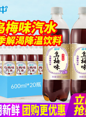 上海延中乌梅汁600ml*20瓶整箱包邮乌梅味碳酸汽水夏降温解暑饮品