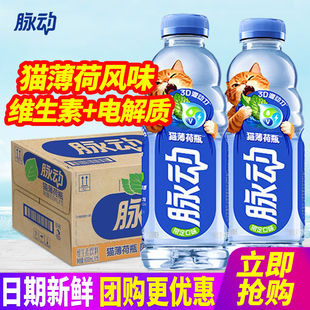 脉动猫薄荷瓶风味限定口味600ml*15瓶整箱包邮电解质维生素饮料