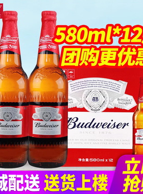 Budweiser/百威啤酒580ml*12瓶整箱玻璃瓶装原汁麦9.7°P 2箱包邮