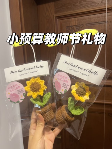 成品纯手工向日葵盆栽手工编织妇女节花束永生花儿童节礼物
