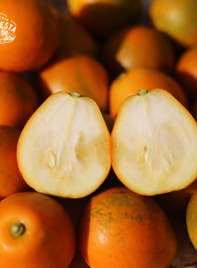 LaForesta 广西融安 脆蜜金柑 爽脆浓甜 果面花皮 顺丰陆运