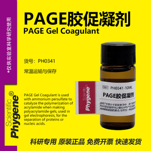 TEMED 10mL PAGE凝胶制备 电泳配胶 Substitute PH0341 PHYGENE