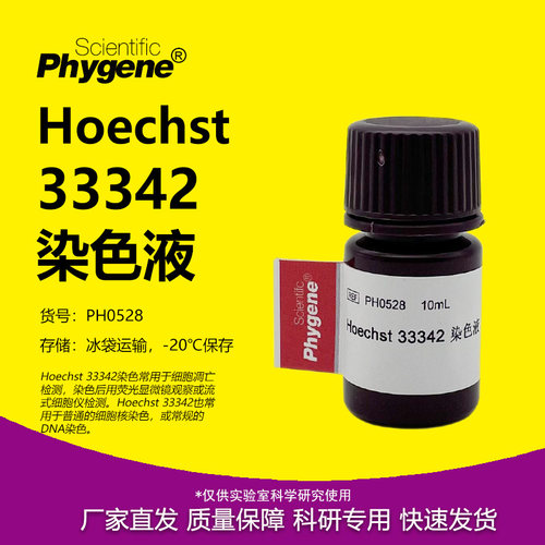Hoechst33342染色液