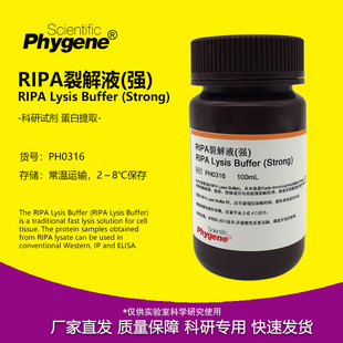 RIPA裂解液 强/中/弱 细胞组织裂解液 蛋白提取实验试剂 100ML