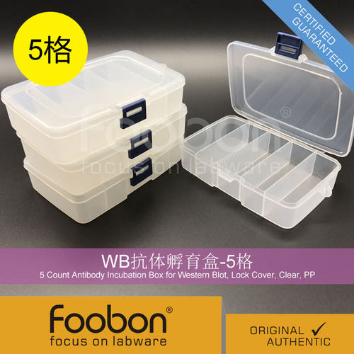 5 Count Antibody Incubation Box for Western Blot, Lock Cover, Clear, PP #FB2023；货号：FB2023 名称：WB抗体孵育盒-5格 规格：1个/包