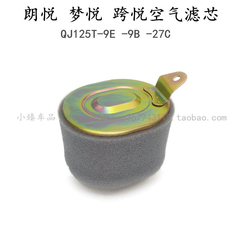 适用于钱江踏板摩托车朗悦梦悦QJ125T-9E-9B-27C跨悦空气滤芯清器