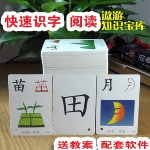 识字卡片学龄前全脑记忆启蒙字卡片幼儿园早教有图3 6岁认字象形