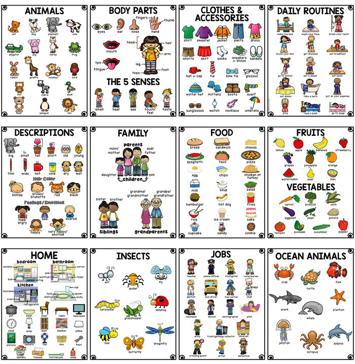 英语单词卡通图片27种主题海报思维导图教室装饰宝宝英文早教启蒙
