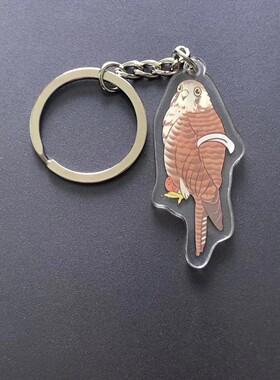 菏泽鹰匠护鹰人周边猛禽钥匙扣猎隼红隼草原雕短耳鸮