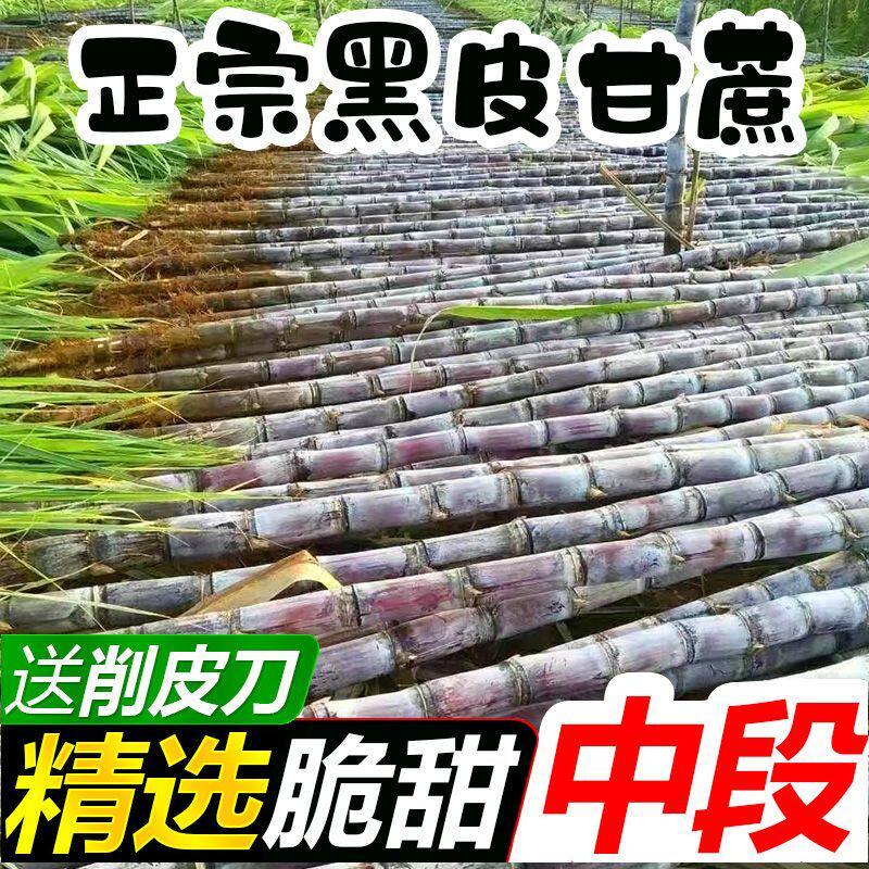 广西黑皮甘蔗新鲜脆甜水果当季特产当天现砍现发9斤整箱批发包邮