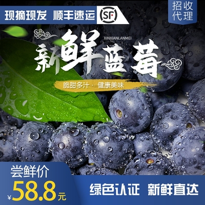 [丹东新鲜蓝莓鲜果装新鲜当季水果孕妇宝宝辅食顺丰包邮]