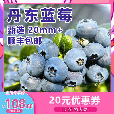 丹东新鲜大甜蓝莓鲜果1斤2斤装新鲜当季水果孕妇宝宝辅食顺丰整箱