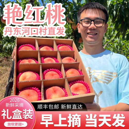 现摘丹东河口艳红桃大脆甜毛燕红桃宽甸水蜜桃8斤礼盒装当季水果