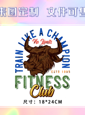 卡通嘻哈牛头FITNES字母烫画定制印花衣服图案热转印白墨烫画贴纸