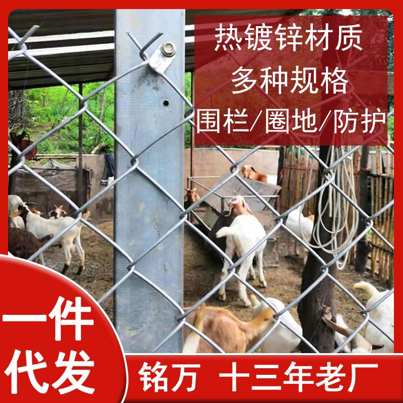 镀锌围栏铁网 圈山地养殖果园林地隔离菱形丝网护栏 镀锌勾花网