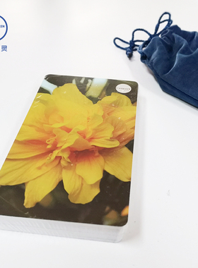 零极限正版 清理工具 Ceeport 修蓝博士内在小孩清理大卡