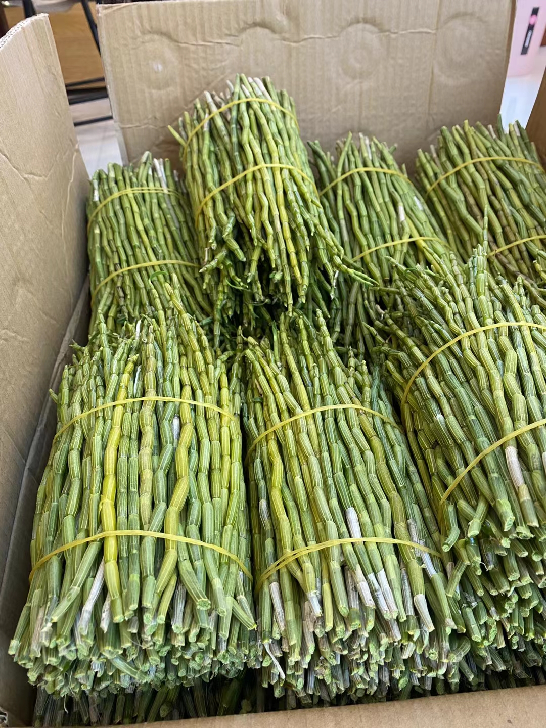 浙江滋补品养生药材铁皮石斛青杆鲜条酒店用榨汁碧绿调理新鲜采摘