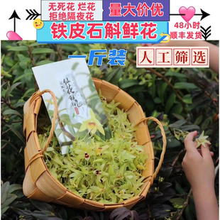 基地現摘新鮮鐵皮石斛鮮花菜場酒店煲湯泡茶煮水順豐直發一斤 包郵