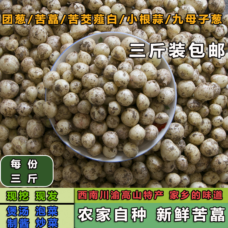 新鲜苦蕌头小根蒜薤白四川团葱苦茭头苦蒜苦葱种农家野葱3斤包邮