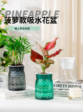 塑料树脂简约时尚插花自吸水懒人