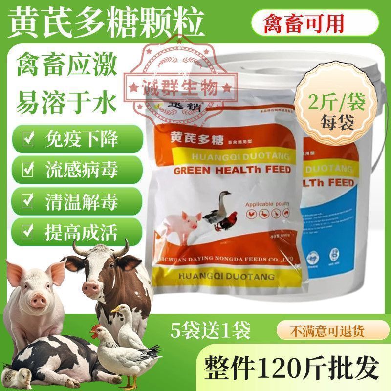 黄芪多糖兽用可溶性粉猪牛羊鸡鸭抗病毒抗应激提高免疫饲料添加剂