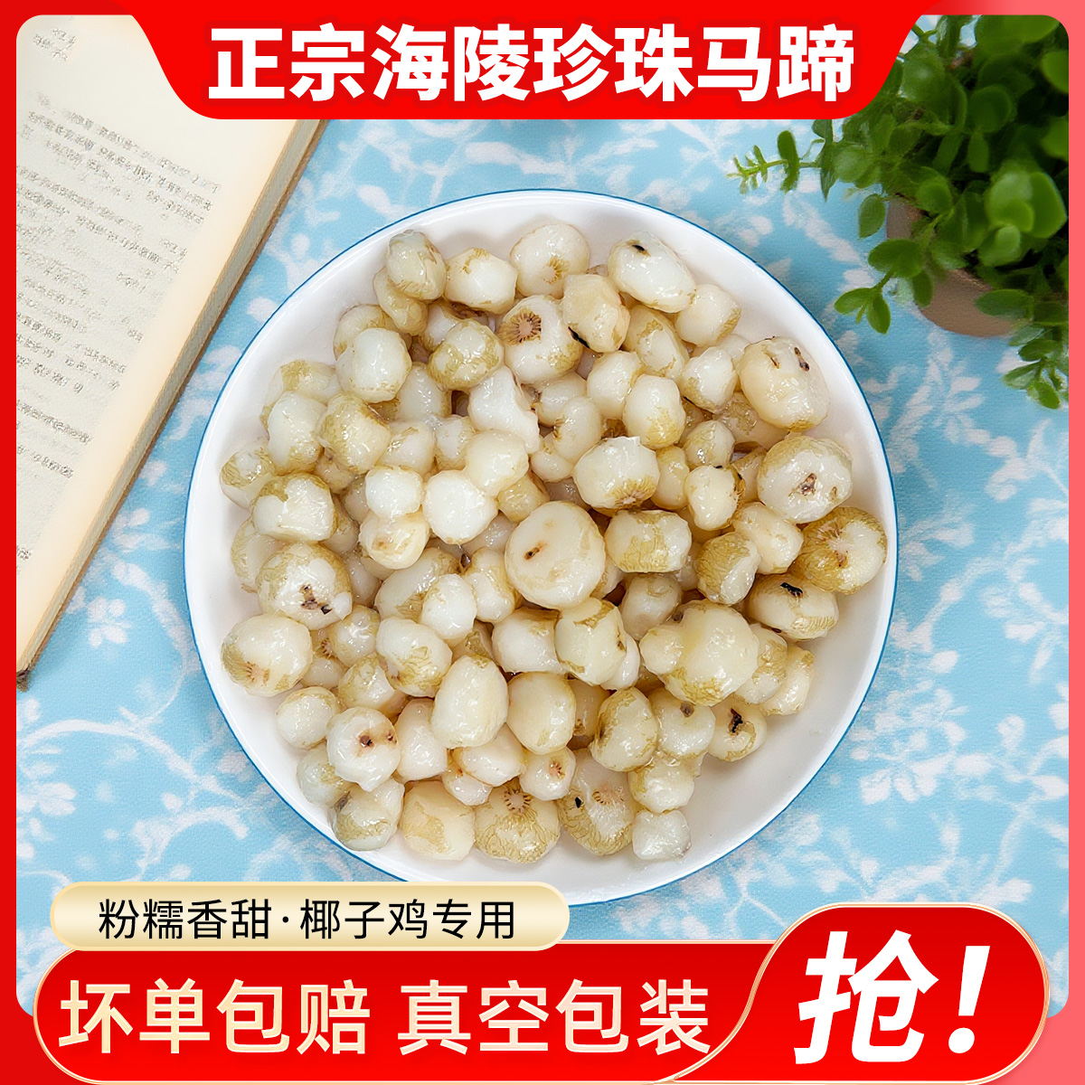 海南特产新鲜马蹄正宗阳江珍珠马蹄去皮小荸荠椰子鸡配料煲汤炒菜
