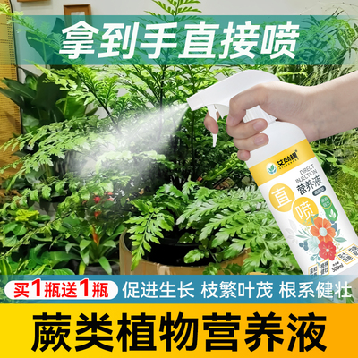 【免稀释一喷即施肥】营养液