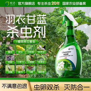羽衣甘蓝杀虫剂蔬菜盆栽除虫药菜青虫蚜虫专用打虫药喷雾花卉植物