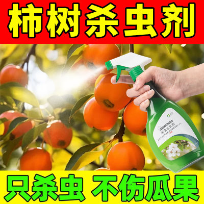 柿子树蚧壳虫专用药杀虫剂