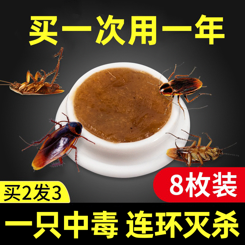蟑螂药家用非强力一窝全窝厨房灭除绝杀小强神器胶饵剂贴端非无毒
