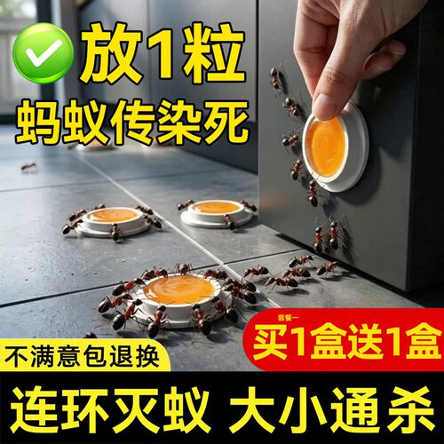 新款蚂蚁药！不满意包退