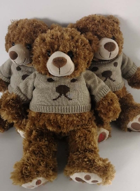 可爱收藏珍藏限量版穿衣服毛衣小熊熊泰迪熊TEDY公仔毛绒玩具礼物