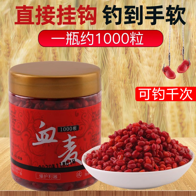 小麦粒鱼饵料野钓春季钓鱼饵料小麦鲫鱼饵料谷麦新四季鱼饵鲤鱼饵,户外/登山/野营/旅行用品,台钓饵,淘宝优惠券,粉丝福利购,淘宝优惠卷