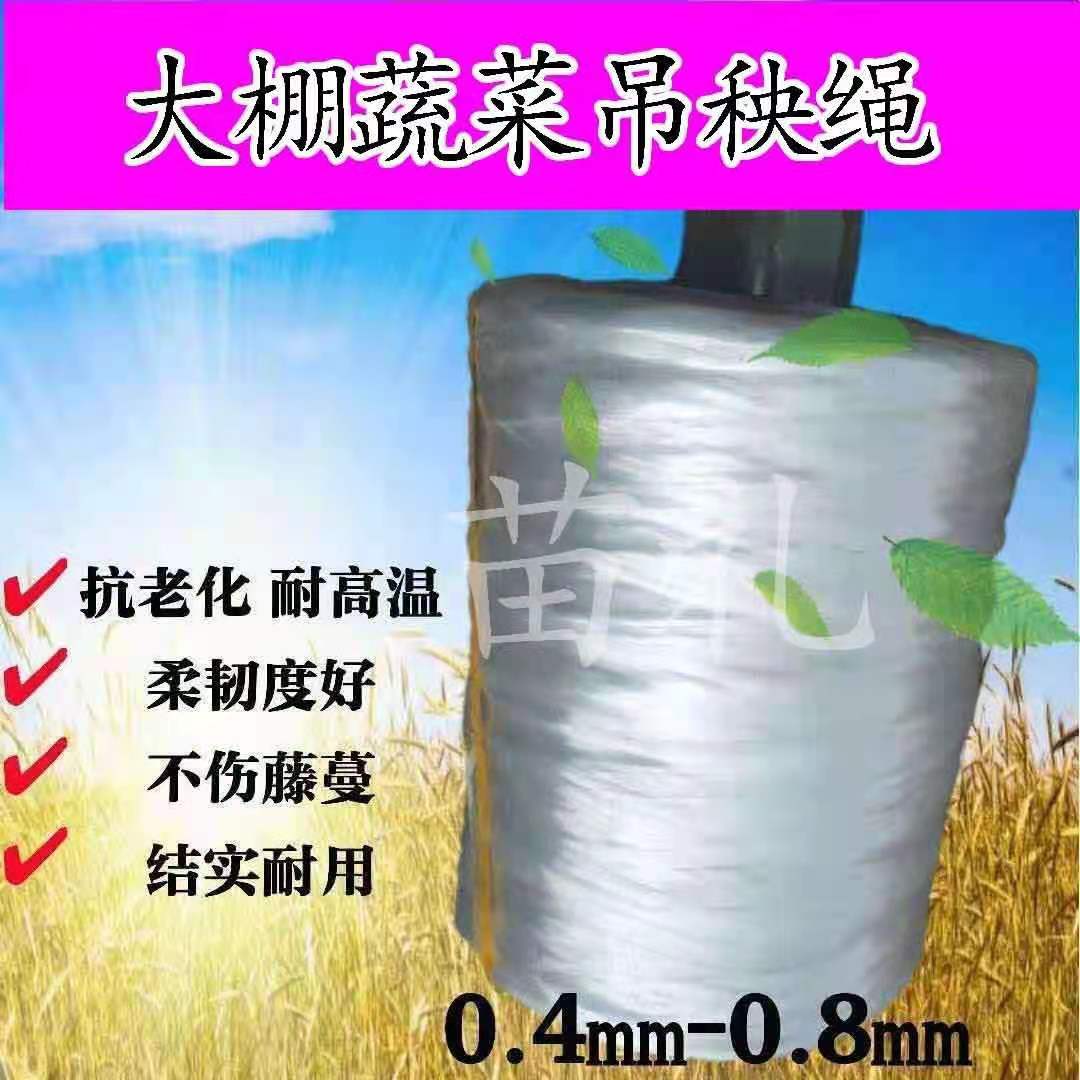 大棚蔬菜吊蔓绳吊秧绳绑蔓绑枝绑扎塑料绳黄瓜番茄辣椒抗老化吊绳