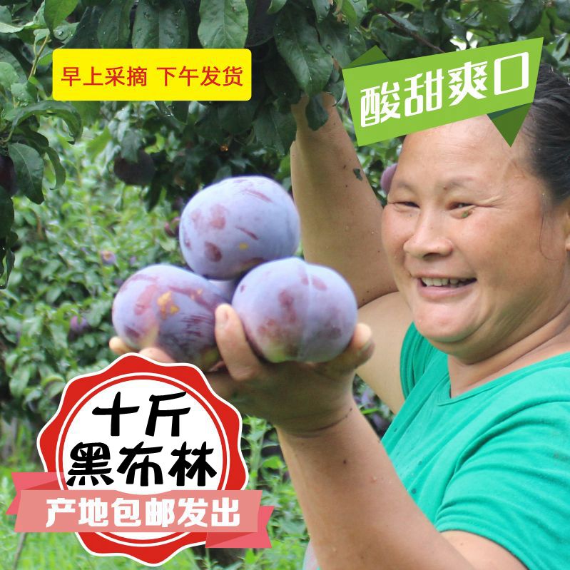 李憲強著
