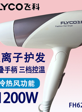 飞科FH6250/6251吹风机家用负离子护发静音速干大风力电吹风筒