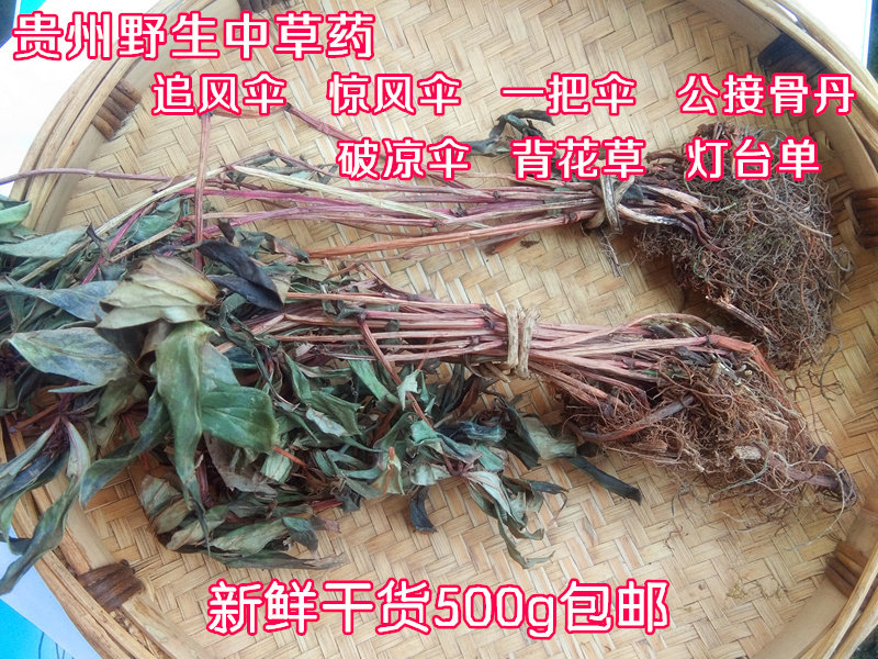 贵州野生追风伞干货500g包邮 现晒中草药材惊风伞破凉伞公接骨丹