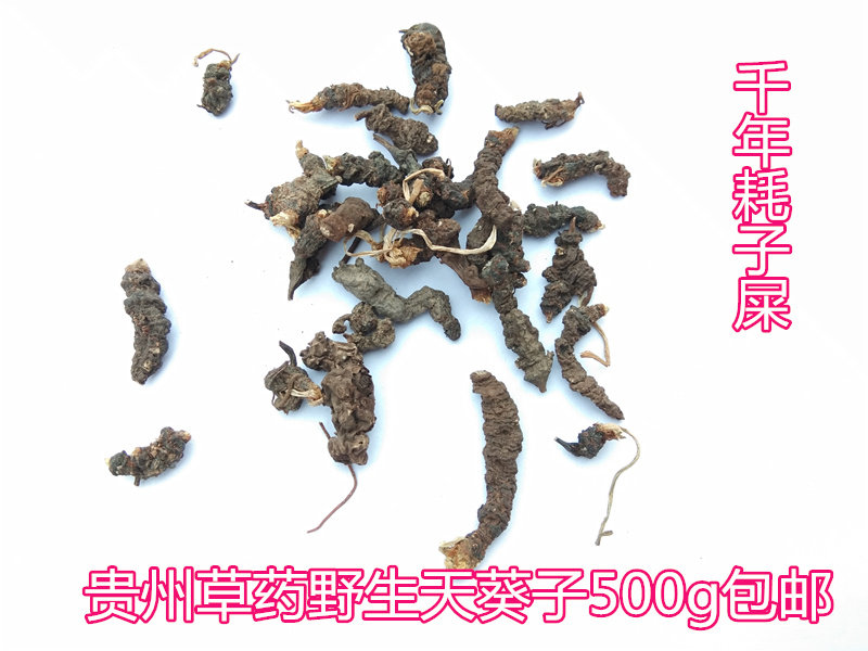 包邮贵州山货天葵子1斤 中草药材紫背天葵籽天葵根千年老鼠屎干货