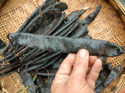 贵州山货皂荚500克皂角个子包邮