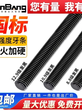 8.8级高强度牙条12.9级丝杆10.9级通丝螺柱6M8M10M12M14M16M20M24