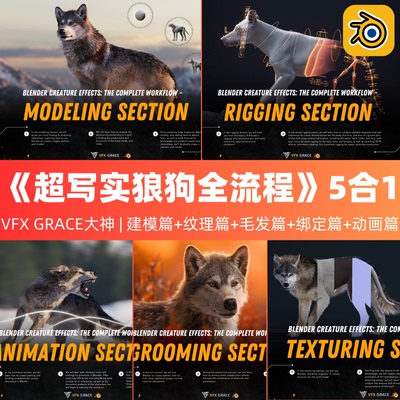 Blender教程 超写实狼狗四足动物精品教程5合1合集版精翻中文字幕