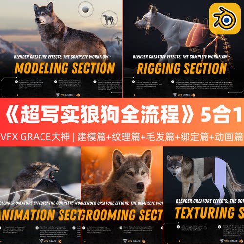 Blender教程 超写实狼狗四足动物精品教程5合1合集版精翻中文字幕