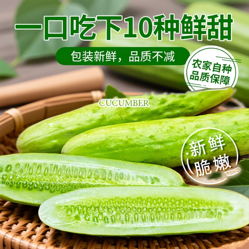 白玉黄瓜新鲜水果自然熟甜脆爽口