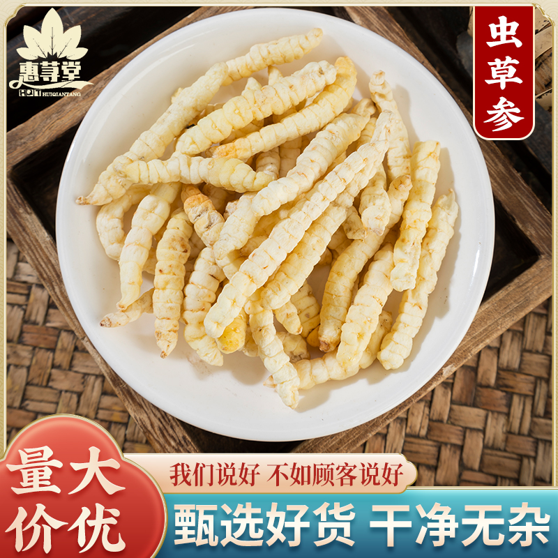 精选 草石蚕 中药材 虫草参中药材 螺丝菜 正品土冬虫草地蚕500克