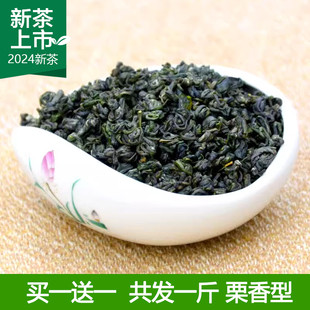 【买1发2】2025新茶贵州珠茶浓香凤岗富锌硒茶绿茶茶叶散装500g