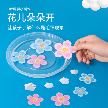 儿童科学实验材料教具毛细现象花儿朵朵开发明制作创意专注力器材