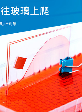 科趣diy水往玻璃上爬科学实验