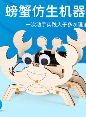 儿童科学实验螃蟹仿生机器人手工材料DIY拼装教具制作中小学物理