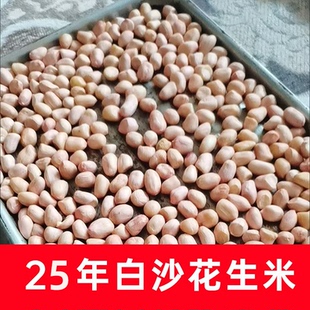 东北生花生米不带壳散装大新花生米2025生晒干新鲜货农家5斤