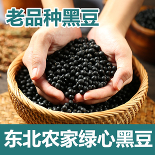 老品种东北黑豆新货打豆浆专用泡醋绿心黑豆生的补五谷杂粮农家肾